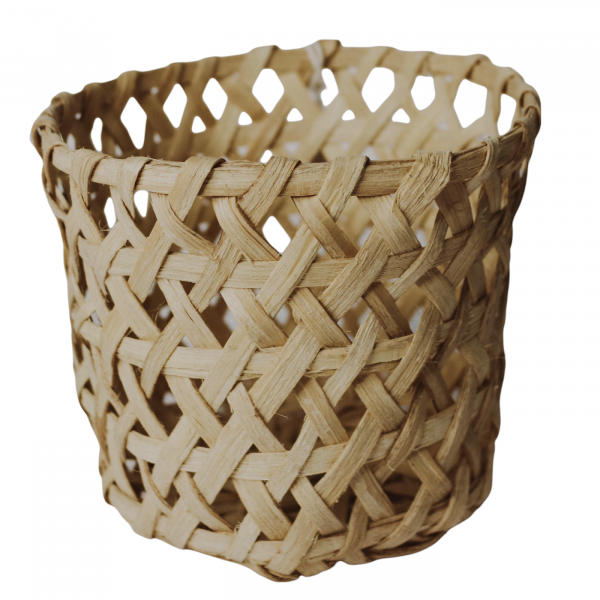 Claudina Delgado 19-011-018 Java (3)